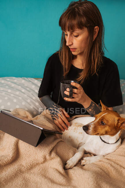 Mujer joven positiva en camisa negra disfrutando del té caliente y viendo video en la tableta mientras descansa en la cama cómoda con adorable perro amigable - foto de stock