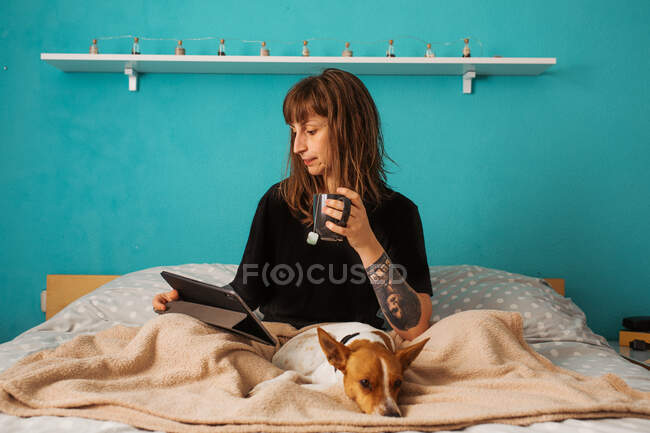 Позитивна молода жінка в чорній сорочці насолоджується гарячим чаєм і дивиться відео на планшет, відпочиваючи на зручному ліжку з чарівною доброзичливою собакою — стокове фото