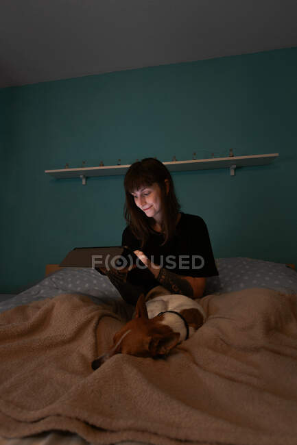 Positive young female in black shirt surfing modern tablet while sitting on cozy bed with adorable purebred dogs in bedroom — Stock Photo