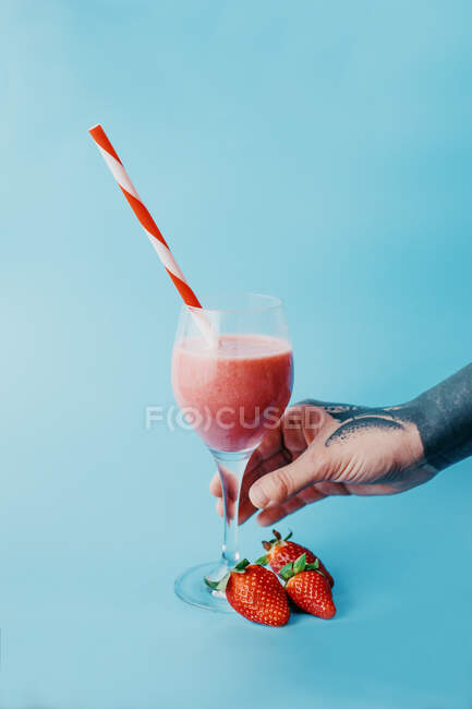 Cultivo persona anónima tomando vaso de delicioso batido de fresa con tubo de bebida sobre fondo azul - foto de stock
