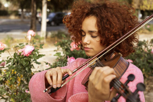 Músico femenino talentoso positivo con el pelo rizado rojo usando el suéter rosado que toca el violín con los ojos cerrados en parque soleado de la ciudad - foto de stock