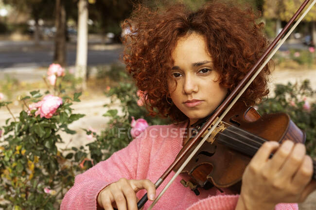 Positive talented female musician with red curly hair wearing pink sweater playing violin with eyes closed in sunny city park — Stock Photo