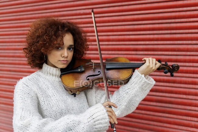Glücklich schöne professionelle Musikerin in weißem Pullover, die akustische Geige spielt und mit zahmem Lächeln vor roter Wand in die Kamera blickt — Stockfoto