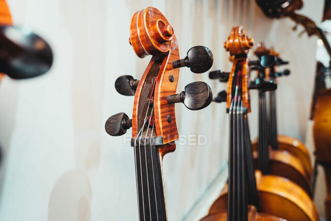 Modern violin curvy scroll with pegs against collection of acoustic musical instruments on rack in studio — Stock Photo