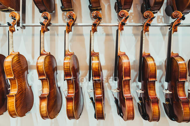Коллекция современных акустических скрипок, висящих на стойке напротив белой стены в современной светлой музыкальной студии — стоковое фото