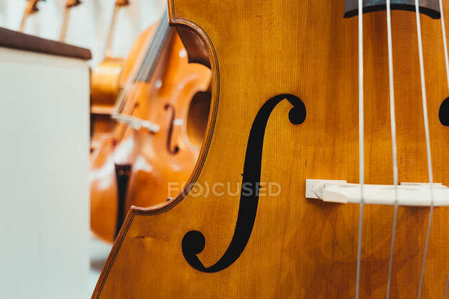Closeup wooden modern double bass waist with typical black painting placed in light musical studio — Stock Photo