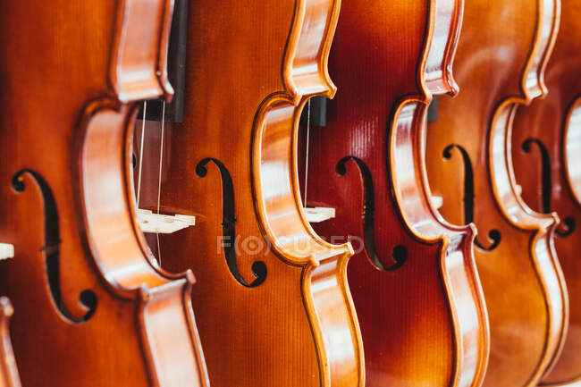 Collection of modern acoustic violins hanging on rack against white wall in contemporary light musical studio — Stock Photo