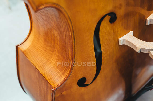 Closeup wooden modern double bass waist with typical black painting placed in light musical studio — Stock Photo