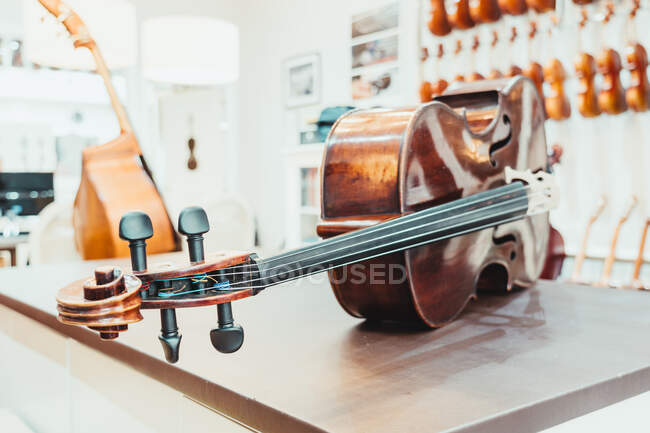 Виолончель из темного дерева, поставленная на прилавок к стене с различными акустическими музыкальными инструментами в современном светлом магазине — стоковое фото