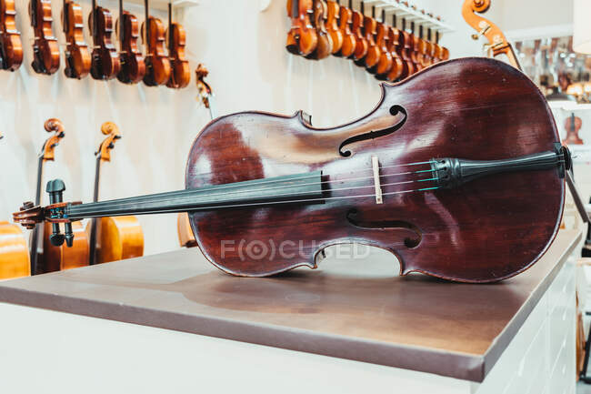 Віолончель з темного дерева розміщена на стіні з різноманітними акустичними музичними інструментами в сучасному легкому магазині — стокове фото