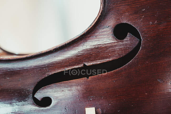 Violoncelo de madeira escura colocado no balcão contra a parede com instrumentos musicais acústicos variados na loja de luz moderna — Fotografia de Stock