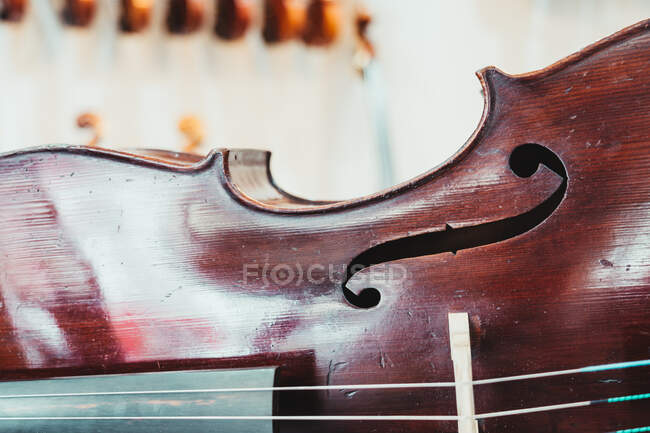 Violoncello in legno scuro da banco contro parete con strumenti musicali acustici assortiti in un moderno negozio di luci — Foto stock