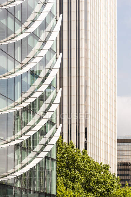 Kreative Gestaltung des Außenbereichs des zeitgenössischen Geschäftszentrums mit Zierwänden in der Nähe von Bäumen in der Stadt — Stockfoto