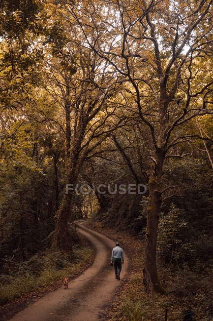 Back view of anonymous male with dog walking along path in autumn forest on overcast day — Stock Photo