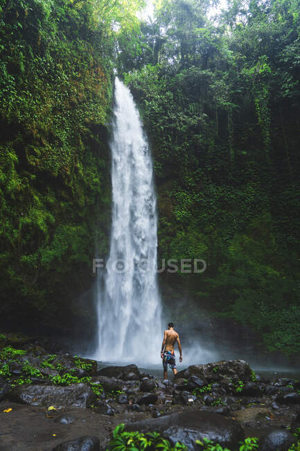 Vue arrière du voyageur masculin anonyme en short admirant la cascade avec un débit d'eau rapide sur le mont vert près de l'étang en été à Bali en Indonésie — Photo de stock