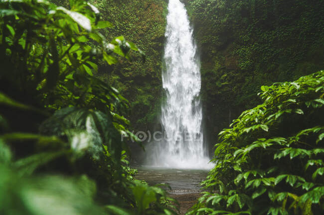 Pittoresca vista della cascata schiumosa con rapido fluido d'acqua vicino stagno e arbusti verde brillante alla luce del sole a Bali Indonesia — Foto stock
