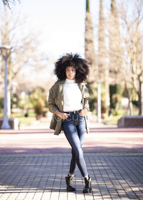 Повний набір трендів молода афроамериканська леді з кучерявим волоссям в повсякденному одязі стоячи в міському парку з руками в кишенях і задумливо озираючись геть — стокове фото