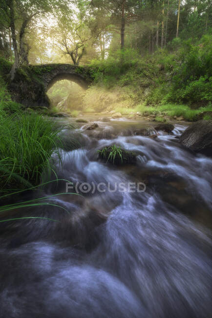 Picturesque scenery of narrow creek with stony shore flowing among green forest with ancient stone bridge in Lozoya River in Madrid countryside in Spain — Stock Photo