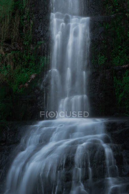 Вигляд на невеликий водоспадний каскад, що протікає лісом в Каскаді - де - Онеті (Астурія, Іспанія). — стокове фото