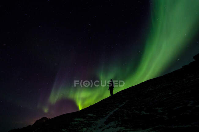 Unerkennbare Person in der Nacht, die im Winter unter sternenklarem Himmel mit Polarlicht den blattlosen Wald genießt. — Stockfoto