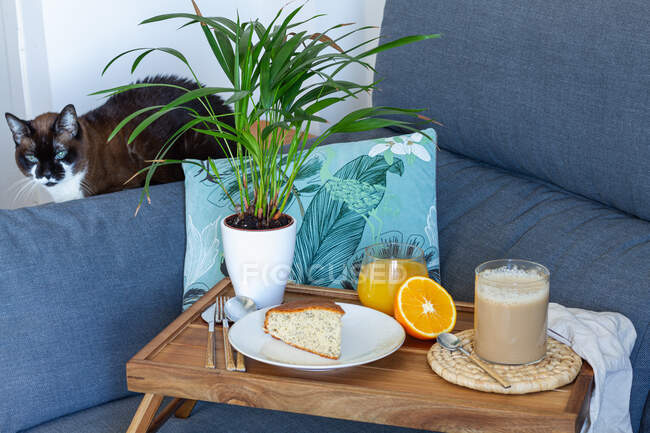 Tasse Kaffee und hausgemachter Biskuitkuchen auf hölzernem Tablett mit einem Glas frischem Orangensaft zum Frühstück im Wohnzimmer zubereitet — Stockfoto