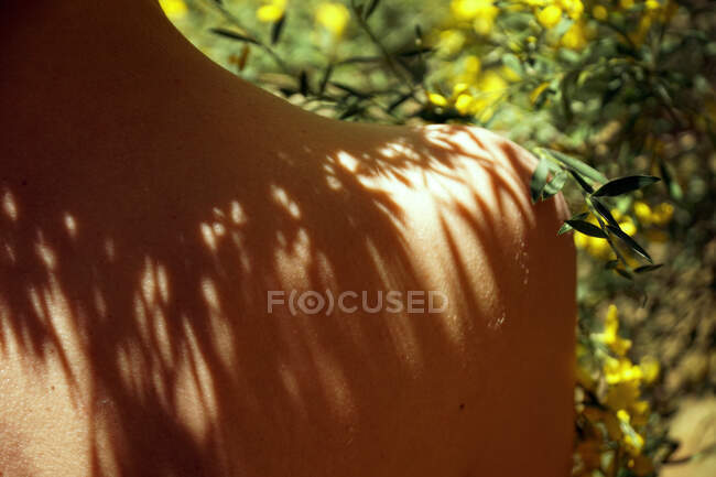 Vue arrière de la culture femelle anonyme aux épaules nues relaxant dans le jardin près de fleurs jaunes douces en fleurs le jour ensoleillé — Photo de stock