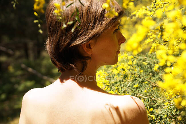 Вид ззаду спокійна доросла гола жінка відпочиває в саду біля квітучого дерева з жовтими квітами в сонячний день — стокове фото