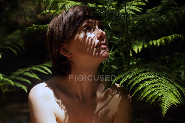 Attraente giovane donna nuda con i capelli scuri seduta vicino al cespuglio di felce in una lussureggiante foresta tropicale e guardando in alto nella giornata di sole — Foto stock