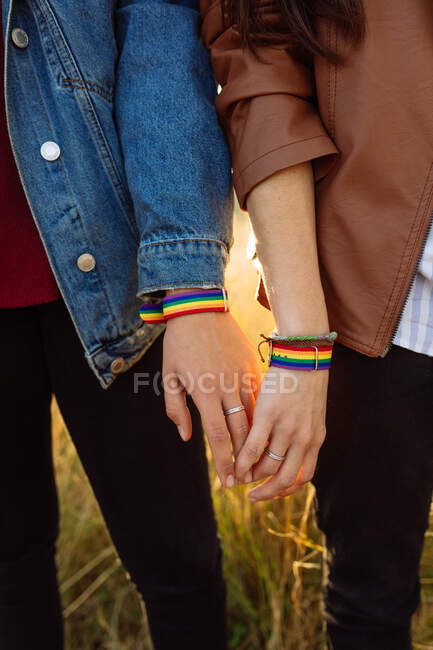Recorte irreconocible pareja de mujeres lesbianas que usan pulseras de arco iris cogidas de la mano tiernamente mientras están de pie en el campo al atardecer - foto de stock