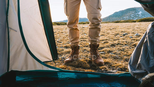 Обратный вид на неузнаваемого путешественника в теплой одежде и рюкзаке, стоящего на травянистой местности возле палатки во время похода в высокогорье в солнечное утро — стоковое фото