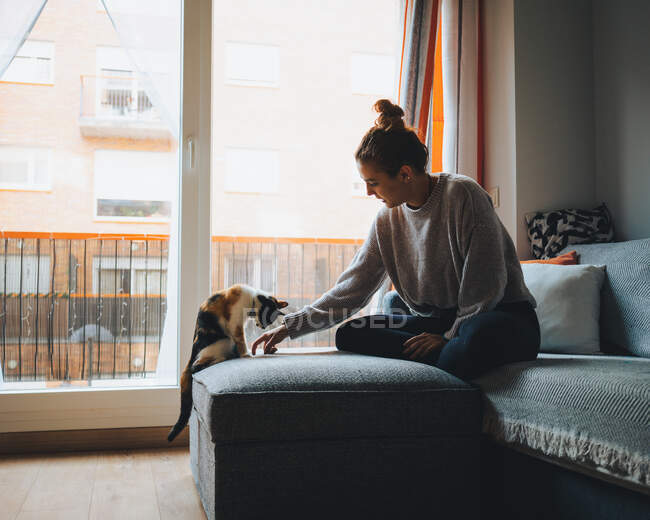 Side view of young lady in casual clothes sitting on comfortable couch with crossed legs and playing with adorable calico cat in modern apartment — Stock Photo