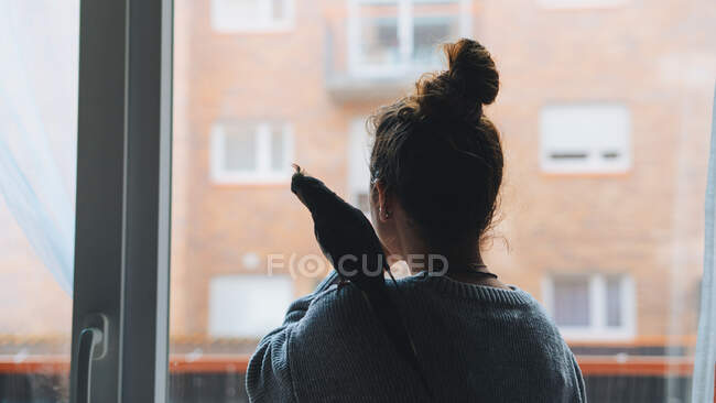 Back view of cute cockatiel bird sitting on shoulder of young thoughtful female owner in warm sweater standing near window at home — Stock Photo
