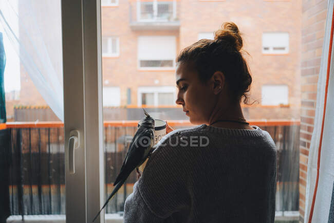 Carino uccello cockatiel seduto sulla spalla del giovane proprietario femminile premuroso in maglione caldo in piedi vicino alla finestra e bere tazza di bevanda calda a casa — Foto stock