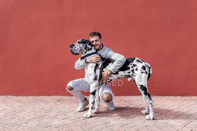 Jovem barbudo cara em roupa elegante sentado em assombrações e acariciando obediente Harlequin Great Dane cão contra a parede vermelha na rua — Fotografia de Stock