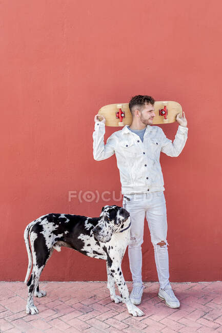 Cuerpo completo de hombre joven de moda en ropa casual holing monopatín detrás de la cabeza y mirando hacia otro lado mientras está de pie en la calle con adorable perro arlequín Gran Danés - foto de stock