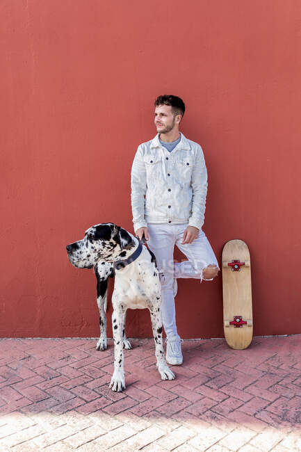 Cuerpo completo de hombre joven de moda en ropa casual con monopatín mirando hacia otro lado mientras está de pie en la calle con adorable perro arlequín Gran Danés - foto de stock
