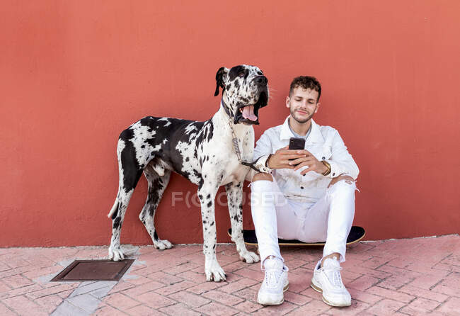 Full body of happy young male owner sitting on skateboard near obedient Harlequin Great Dane dog and messaging on mobile phone on street — Stock Photo