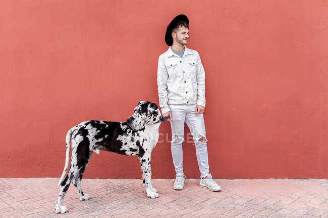 Herrchen steht mit großem Harlekin-Doggen-Hund beim Stadtbummel und schaut weg — Stockfoto