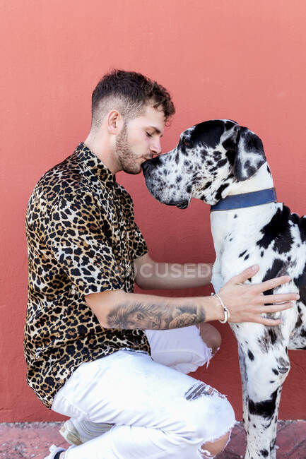 Seitenansicht junger unrasierter Rüde in lässiger Kleidung und entzückend gehorsamer Harlekin Doggen Hund umarmt einander vor rotem Hintergrund — Stockfoto