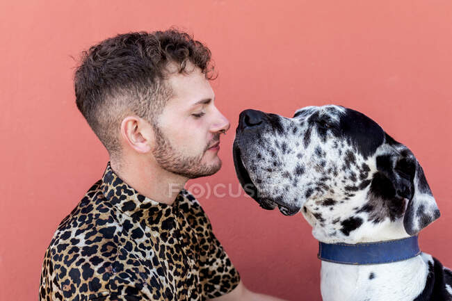 Side view of happy young unshaven male in casual clothes and adorable obedient Harlequin Great Dane dog hugging each other against red background — Stock Photo