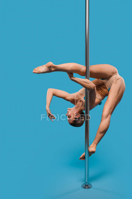 Jeune athlète féminine pieds nus flexible en costume de corps dansant sur le poteau pendant l'entraînement et regardant vers le bas sur fond bleu — Photo de stock