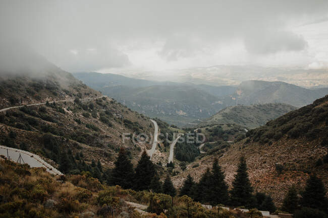 Picturesque spacious hilly terrain with greenery and trees located beneath cloudy misty sky — Stock Photo