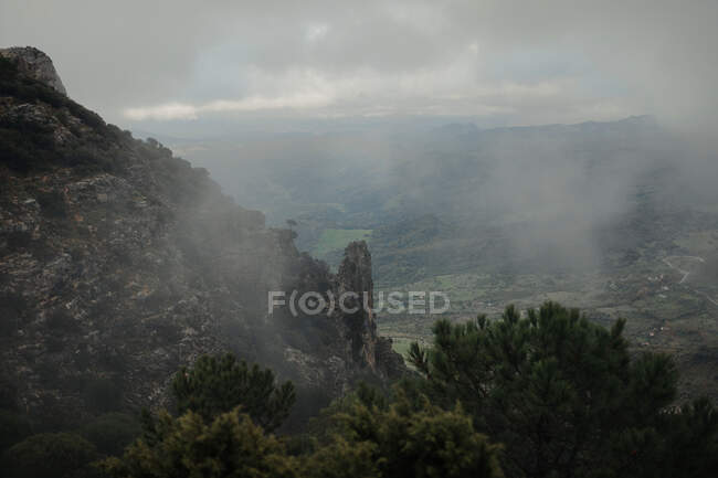 Живописная просторная холмистая местность с зеленью и деревьями, расположенными под облачным туманным небом — стоковое фото