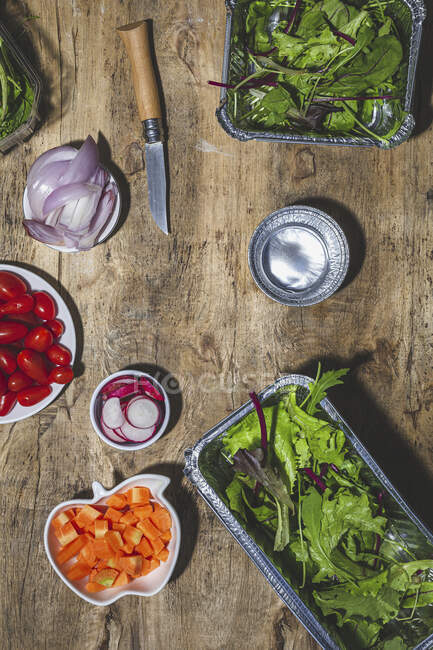 Vista superior de la composición de varias verduras frescas, incluyendo cebolla de tomates cherry rábano y hojas de ensalada mixta en la mesa de madera - foto de stock