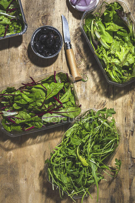 Anordnung der frischen Mischung Blätter Salate in Schüsseln zum Mitnehmen auf den Tisch in der Nähe von schwarzen Oliven und Zwiebeln geschnitten — Stockfoto