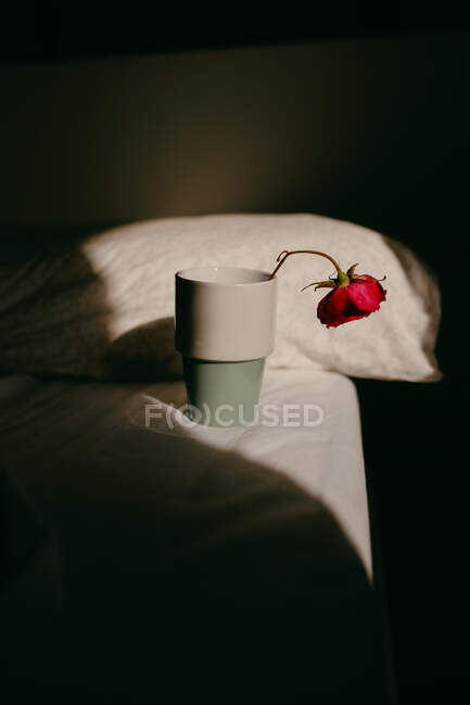 Delicado flor rosa vermelha colocada em vidro no lençol branco no quarto com luz solar brilhante — Fotografia de Stock