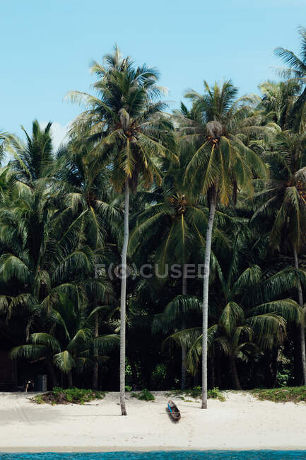 Ідилічний острів з тропічними зеленими деревами на піщаному узбережжі, оточений блакитним морем проти ясного неба в Індонезії. — стокове фото