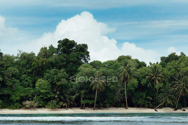 Pintoresca vista de la idílica isla con árboles verdes tropicales en la playa de arena rodeada de mar azul contra el cielo despejado en Indonesia - foto de stock