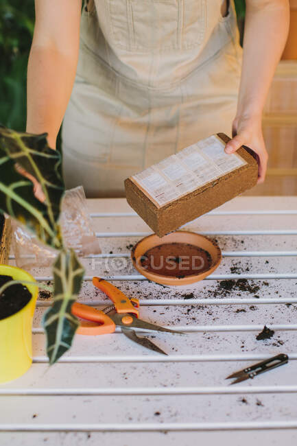 Crop anonymous female standing near table with gardening tools and unpacking peat while transplanting potted plants at home — Stock Photo
