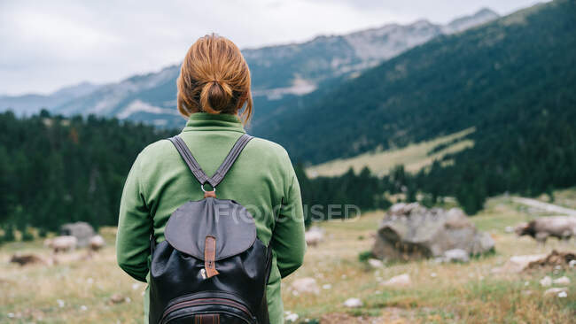 Rückenansicht einer anonymen Wanderin in Freizeitkleidung mit Rucksack, die in malerischem Hochland steht und die Aussicht bewundert — Stockfoto